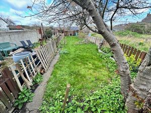 Photo 2- click for photo gallery